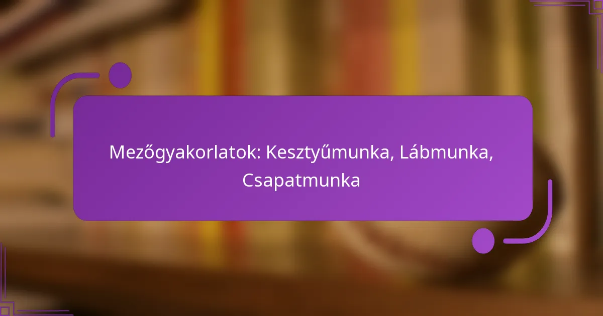 Mezőgyakorlatok: Kesztyűmunka, Lábmunka, Csapatmunka